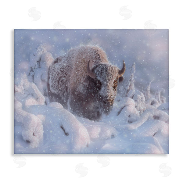 stupell industries Collin Bogle | Winter Bison In Deep