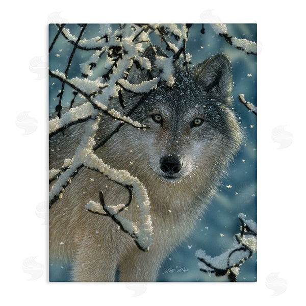 stupell industries Collin Bogle | Wolf Behind Snowy Branches Winter Wild Forest Animal Wall Art