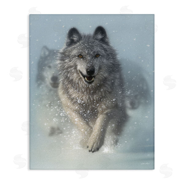 stupell industries Collin Bogle | Wolves Running Through Snow