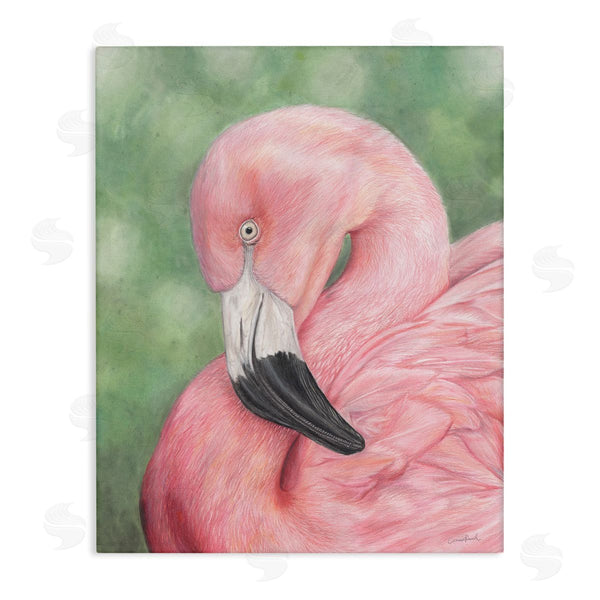 stupell industries Connie Resch | Blushing Flamingo Visage