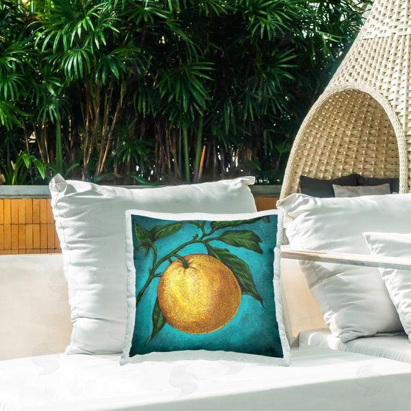 Stupell Industries Connie Resch | Citrus Fruit On Branch Printed Throw Pillow