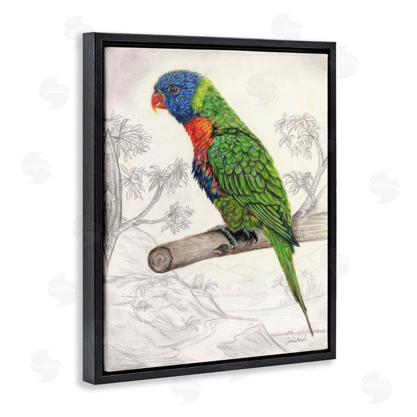 Stupell Industries Connie Resch | Lorikeet Sketched Nature