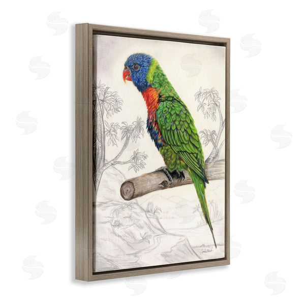 Stupell Industries Connie Resch | Lorikeet Sketched Nature