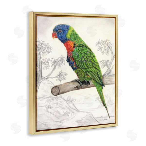 Stupell Industries Connie Resch | Lorikeet Sketched Nature