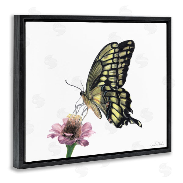 Stupell Industries Connie Resch | Minimal Butterfly And Flower Wall Art