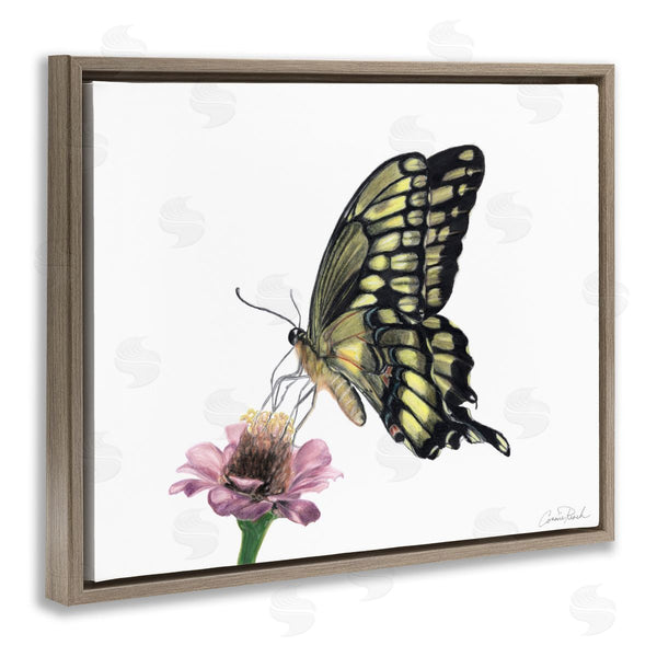 Stupell Industries Connie Resch | Minimal Butterfly And Flower Wall Art