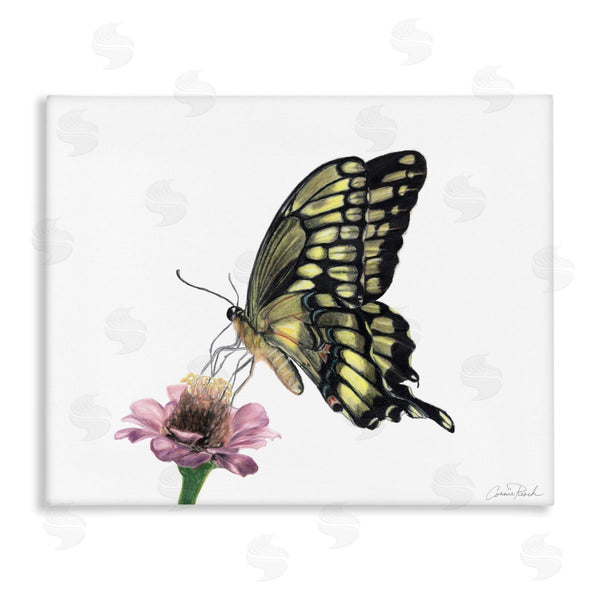 stupell industries Connie Resch | Minimal Butterfly and Flower Wall Art
