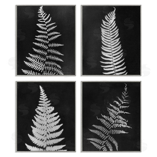 Stupell Industries Connie Resch | Monochrome Fern Impressions Wall Art