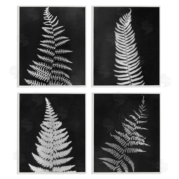 Stupell Industries Connie Resch | Monochrome Fern Impressions Wall Art