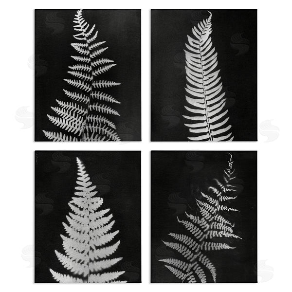 stupell industries Connie Resch | Monochrome Fern Impressions Wall Art