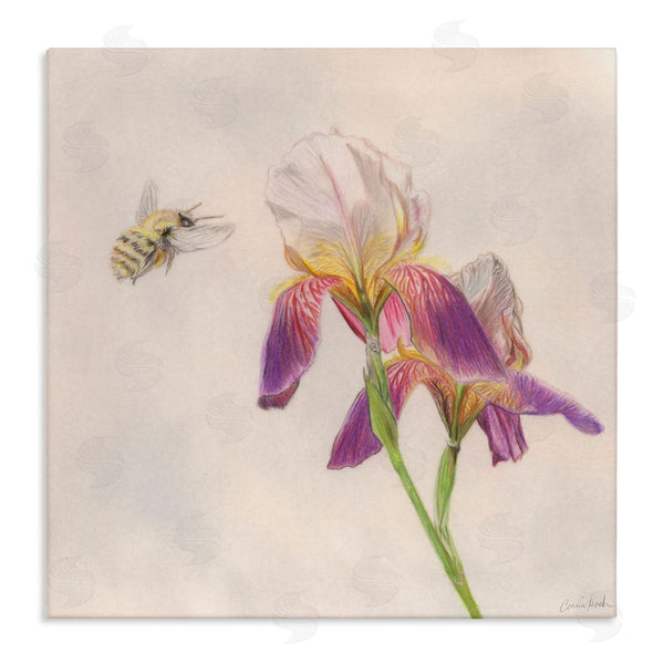 stupell industries Connie Resch | Spring Offerings Bee Wall Art