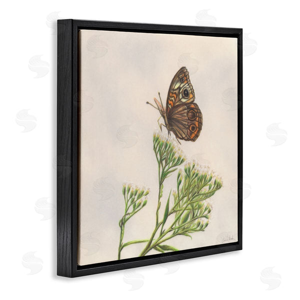 Stupell Industries Connie Resch | Spring Offerings Butterfly Wall Art