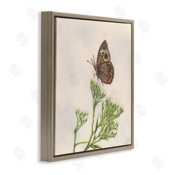 Stupell Industries Connie Resch | Spring Offerings Butterfly Wall Art