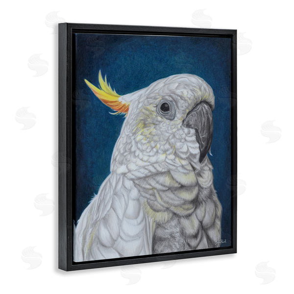 Stupell Industries Connie Resch | Traditional Cockatoo Visage