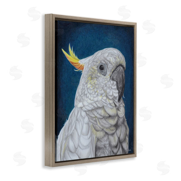 Stupell Industries Connie Resch | Traditional Cockatoo Visage