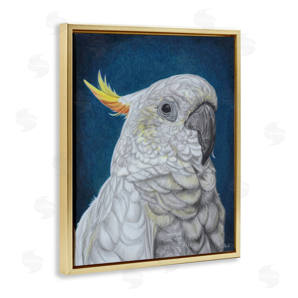 Stupell Industries Connie Resch | Traditional Cockatoo Visage