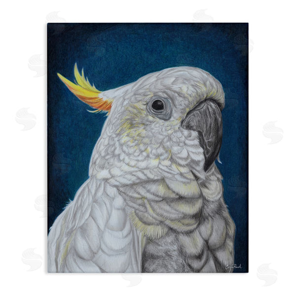 stupell industries Connie Resch | Traditional Cockatoo Visage