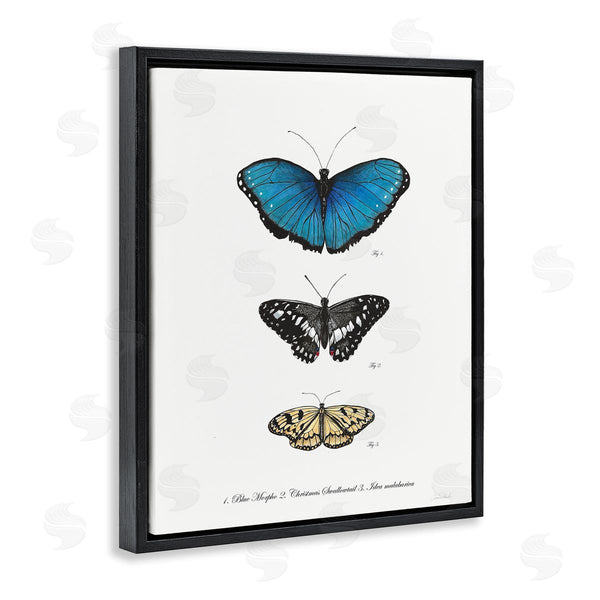 Stupell Industries Connie Resch | Vintage Butterfly Specimens