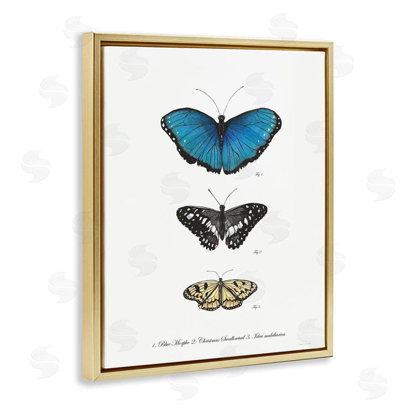 Stupell Industries Connie Resch | Vintage Butterfly Specimens
