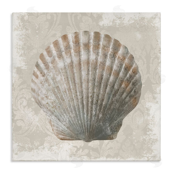 stupell industries Conrad Knutsen | Clam Shell over Vintage Pattern