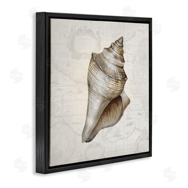Stupell Industries Conrad Knutsen | Conch Shell Over Vintage Map Wall Art