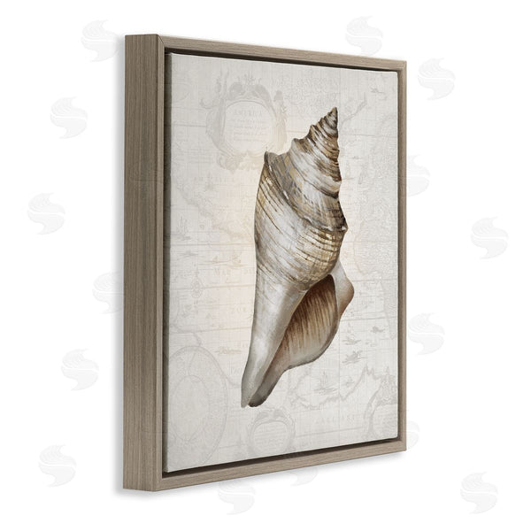 Stupell Industries Conrad Knutsen | Conch Shell Over Vintage Map Wall Art