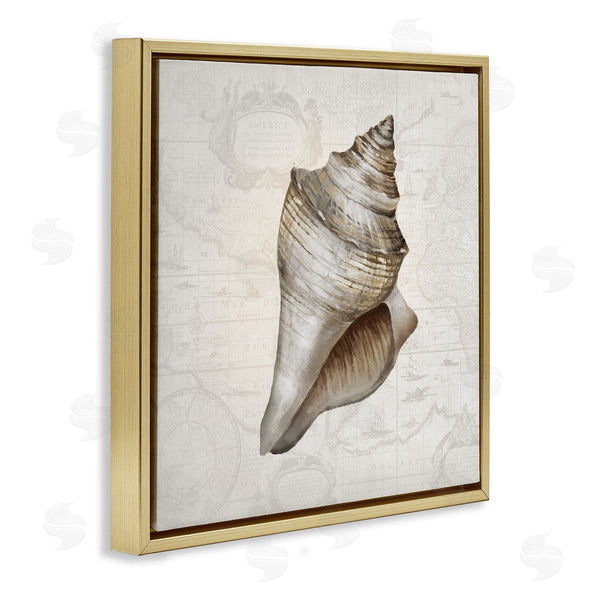 Stupell Industries Conrad Knutsen | Conch Shell Over Vintage Map Wall Art