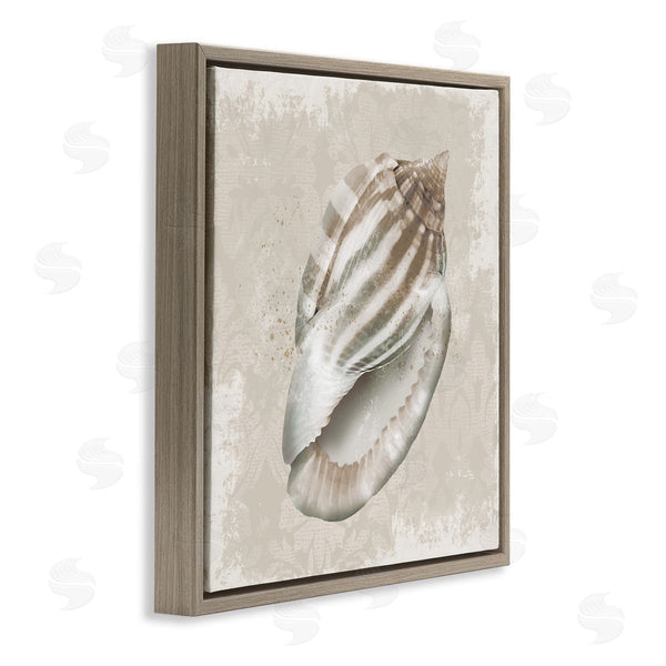 Stupell Industries Conrad Knutsen | Conch Shell Over Vintage Pattern
