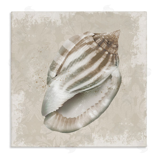 stupell industries Conrad Knutsen | Conch Shell over Vintage Pattern