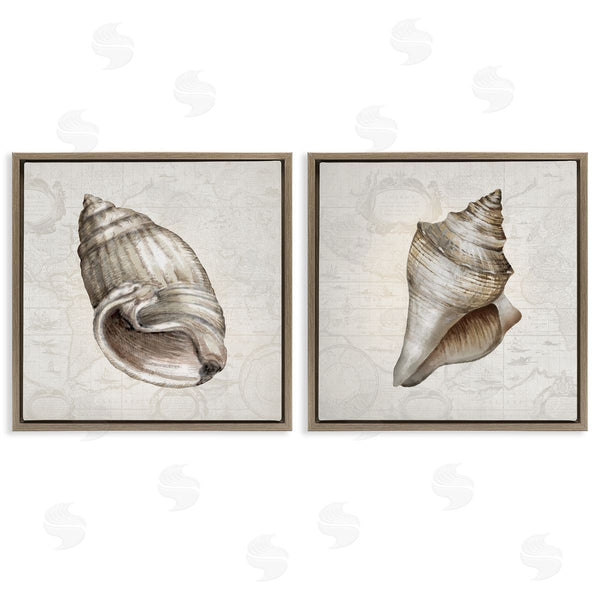 Stupell Industries Conrad Knutsen | Conch Shells Over Vintage Maps