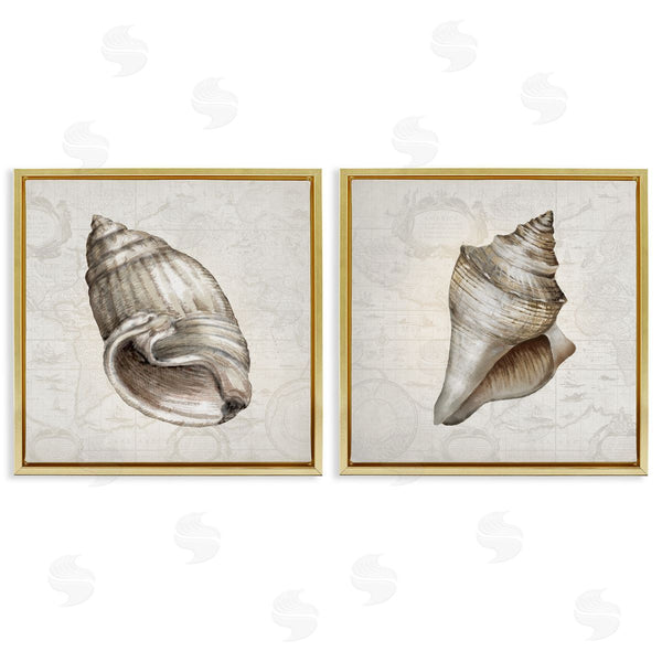 Stupell Industries Conrad Knutsen | Conch Shells Over Vintage Maps