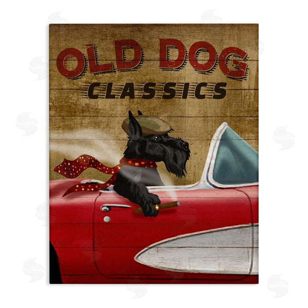 stupell industries Conrad Knutsen | Old Dog Classics Scottish Terrier Cigar Sports Car Wall Art