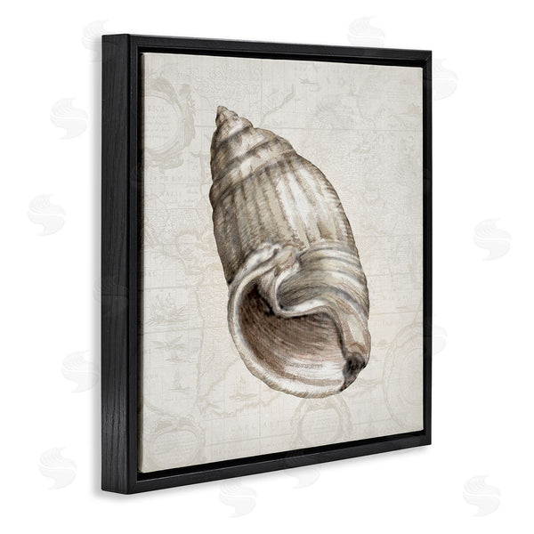 Stupell Industries Conrad Knutsen | Seashell Over Vintage Map