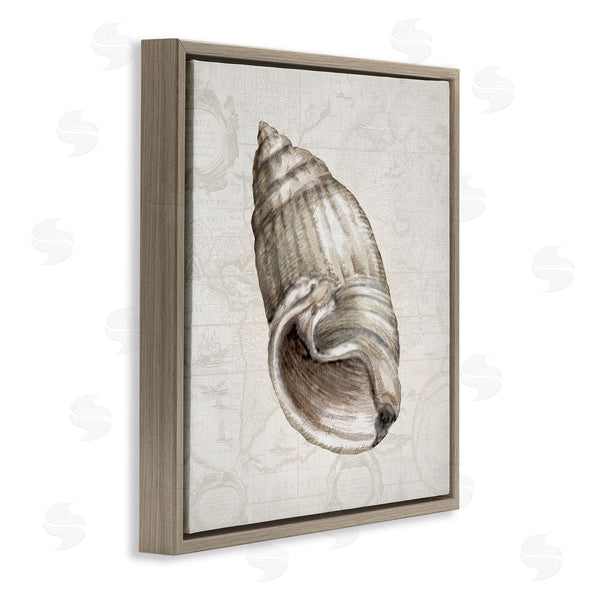 Stupell Industries Conrad Knutsen | Seashell Over Vintage Map