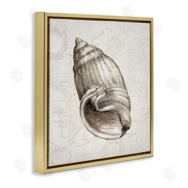 Stupell Industries Conrad Knutsen | Seashell Over Vintage Map