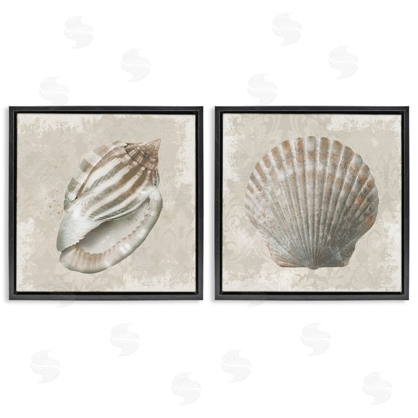 Stupell Industries Conrad Knutsen | Seashells Over Subtle Damask