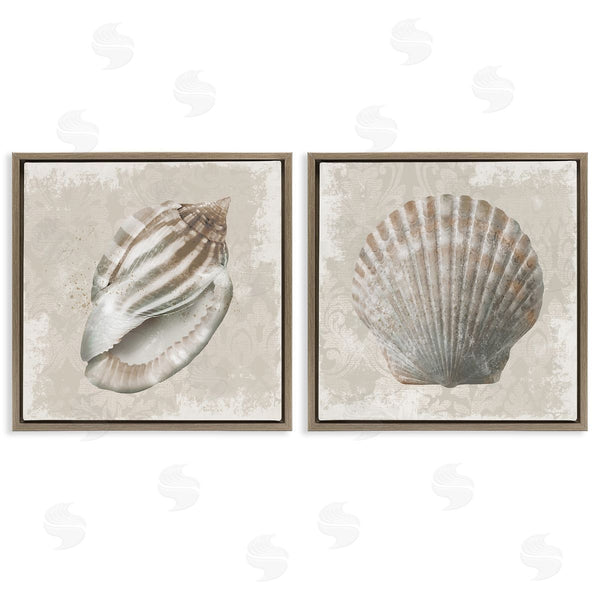 Stupell Industries Conrad Knutsen | Seashells Over Subtle Damask