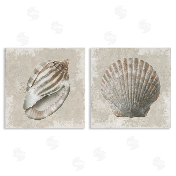 stupell industries Conrad Knutsen | Seashells over Subtle Damask