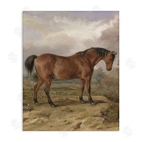 stupell industries Corinne Haig | Horse & Hare in Nature