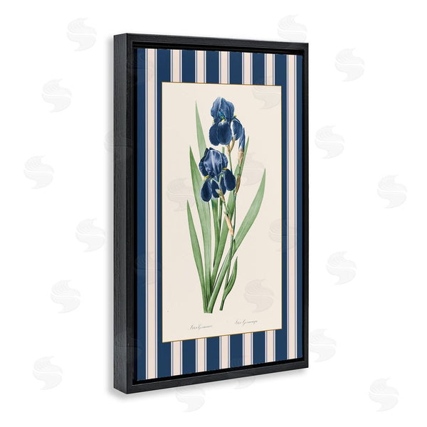 Stupell Industries Corinne Haig | Iris Study Over Stripes