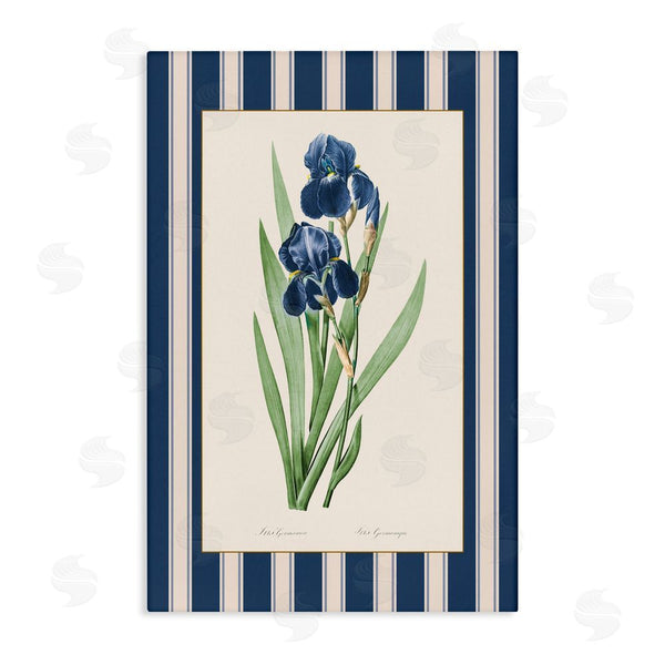 stupell industries Corinne Haig | Iris Study over Stripes