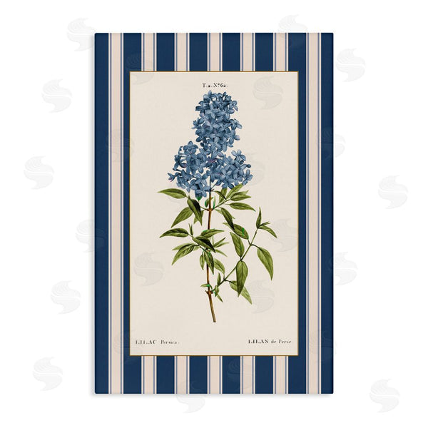 stupell industries Corinne Haig | Lilac Study Over Stripes