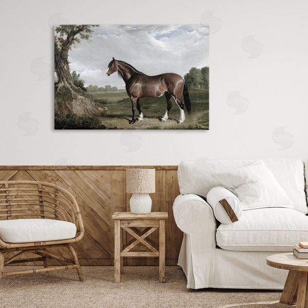 Stupell Industries Corinne Haig | Majestic Equine Nature Portrait