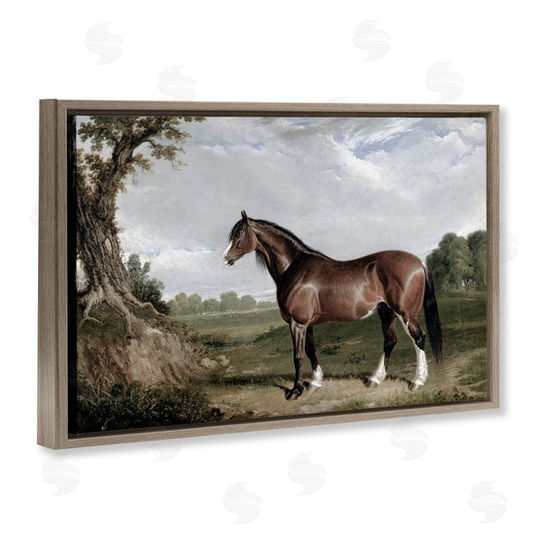 Stupell Industries Corinne Haig | Majestic Equine Nature Portrait