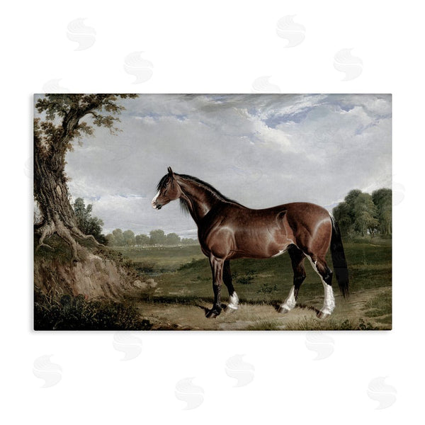stupell industries Corinne Haig | Majestic Equine Nature Portrait