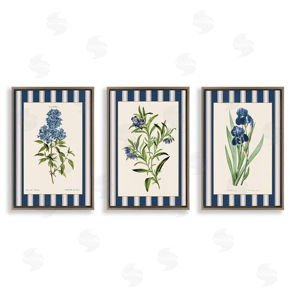 Stupell Industries Corinne Haig | Vintage Plant Studies Over Stripes