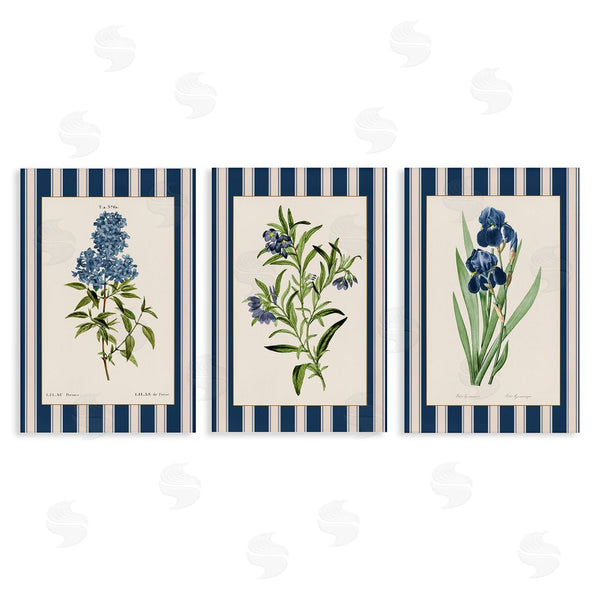 stupell industries Corinne Haig | Vintage Plant Studies over Stripes