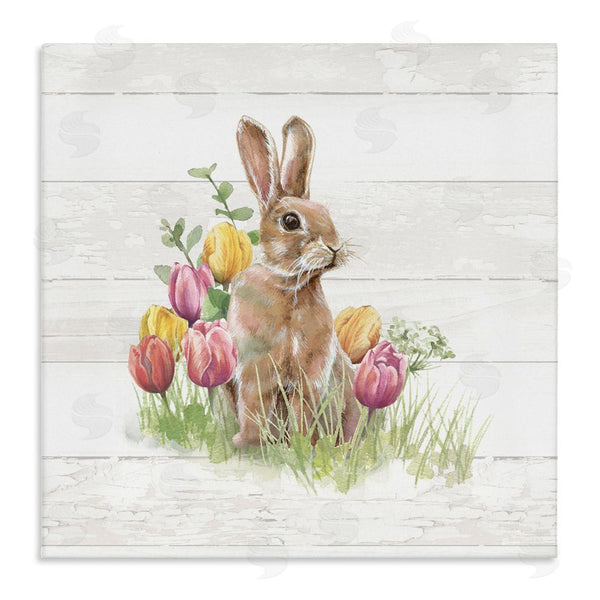 stupell industries Courtney Morgenstern | Bunny & Spring Tulips Wall Art