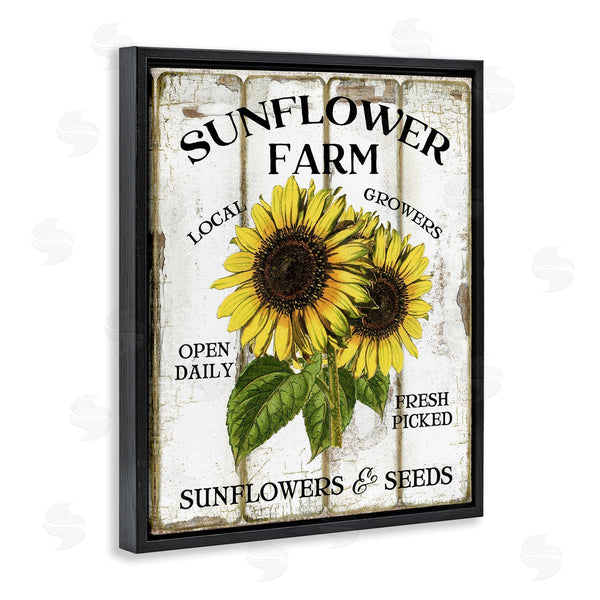 Stupell Industries Creatif Belle | Antique Sunflower Farm Seeds