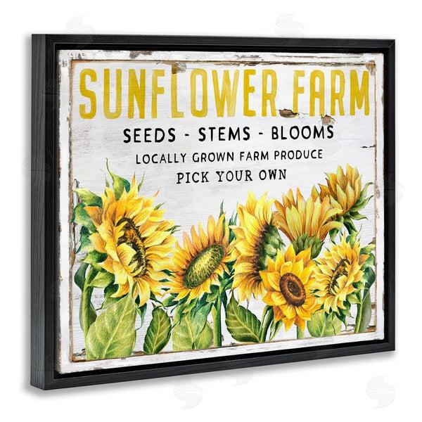 Stupell Industries Creatif Belle | Antique Sunflower Seeds